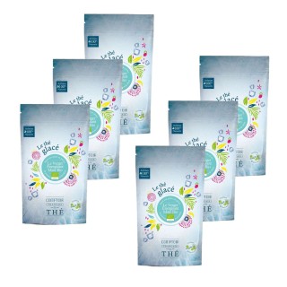 Lot 6x Maté le verger énergisant Bio - 10 sachets - Doypack 60g