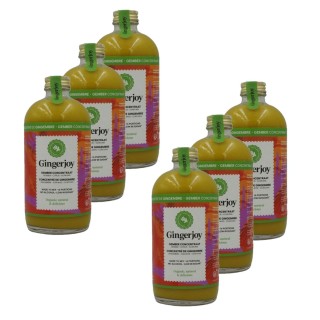 Lot 6x Gingerjoy - concentré de gingembre BIO - Bouteille kg