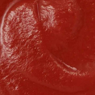 Purée de tomates Passata Bio - Bouteille 560g