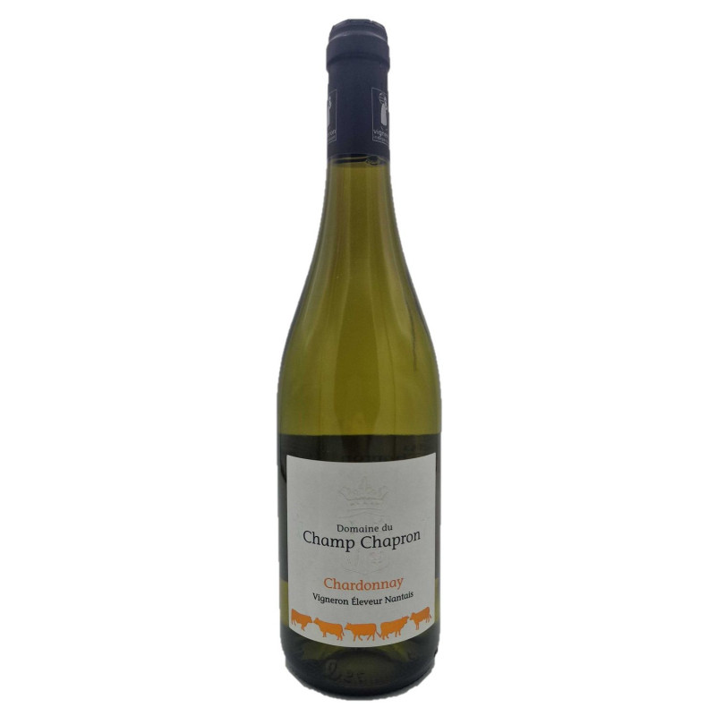 Vin blanc Chardonnay - Val de Loire - Bouteille 750ml