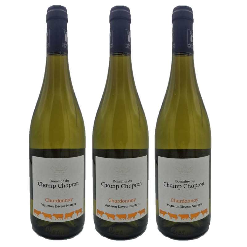 Lot 3x Vin blanc Chardonnay - Val de Loire - Bouteille 750ml