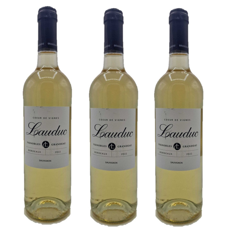 Lot 3x Vin blanc Cœur vignes - Entre-deux-mers - Bouteille 750ml