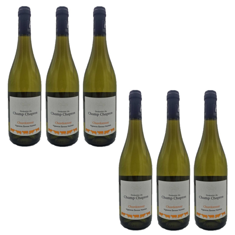 Lot 6x Vin blanc Chardonnay - Val de Loire - Bouteille 750ml
