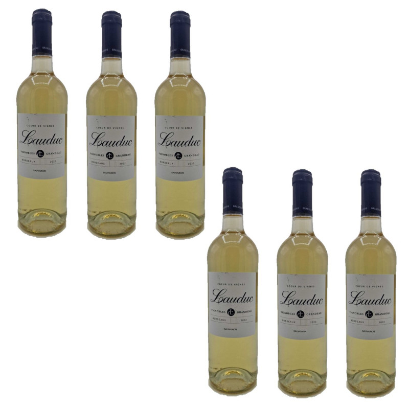 Lot 6x Vin blanc Cœur vignes - Entre-deux-mers - Bouteille 750ml
