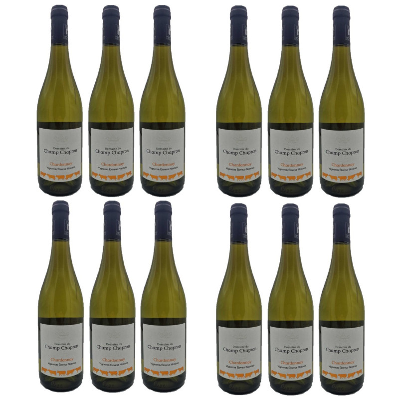 Lot 12x Vin blanc Chardonnay - Val de Loire - Bouteille 750ml