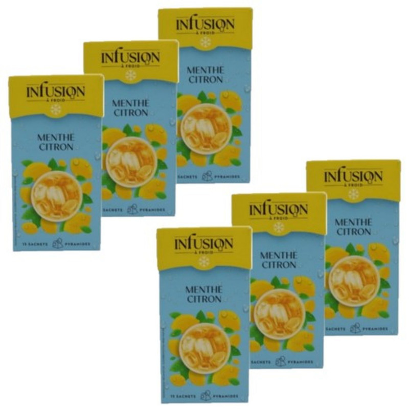 Lot 6x Infusion à froid menthe citron - Boîte 37,5g