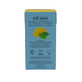 Lot 6x Infusion à froid menthe citron - Boîte 37,5g