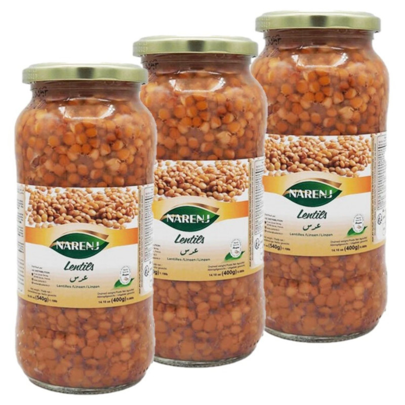 Lot 3x Lentilles - Bocal 540g