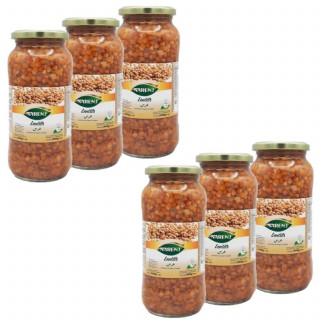 Lot 6x Lentilles - Bocal 540g