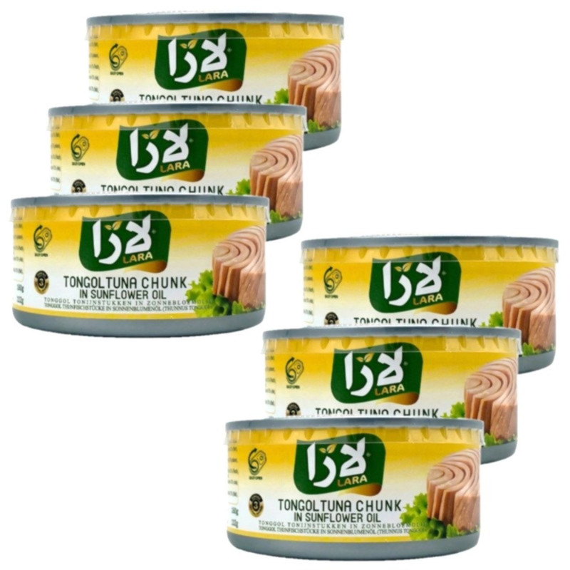 Lot 6x Thon à l'huile - Conserve 160g