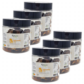 Lot 6x Cèpes extra séchés - Pot 30g